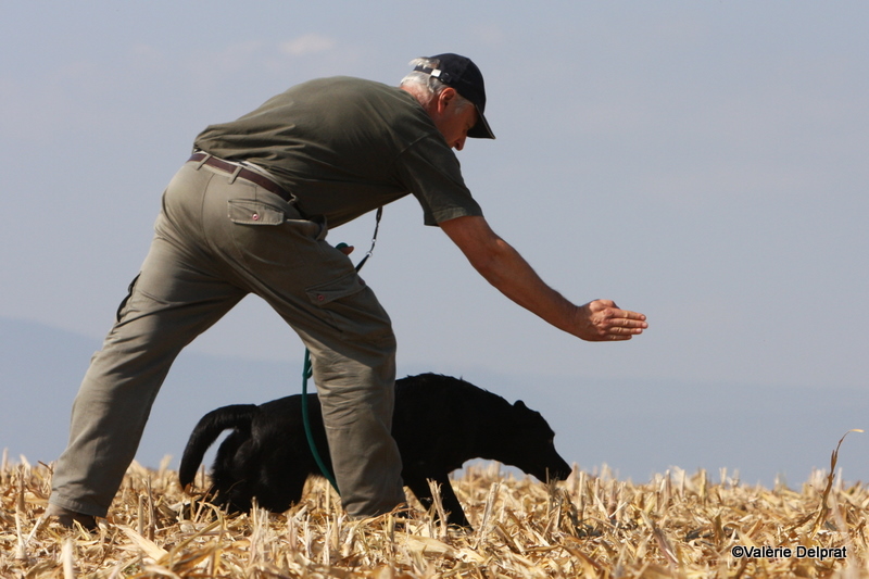 Field Erstein 09 (168).JPG